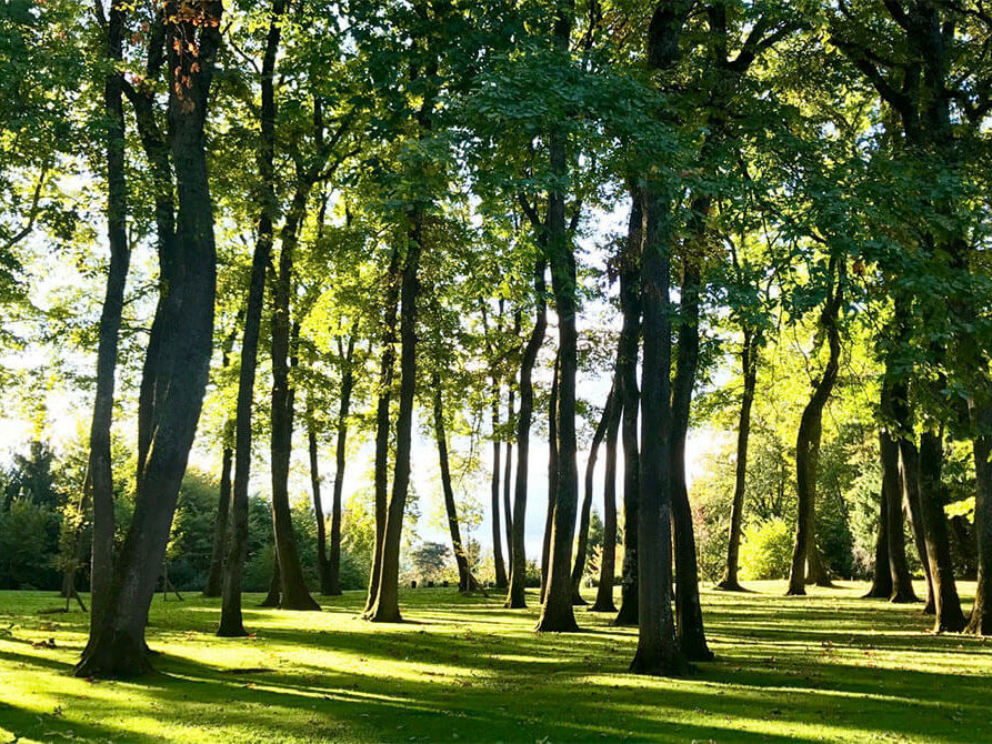 Domaine des Bois Chamblard extérieur