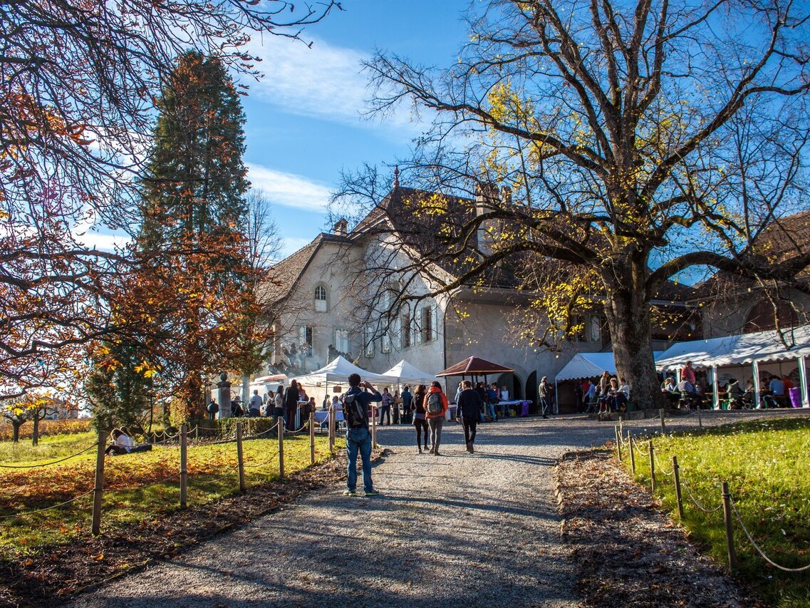 Chateau de Luins large