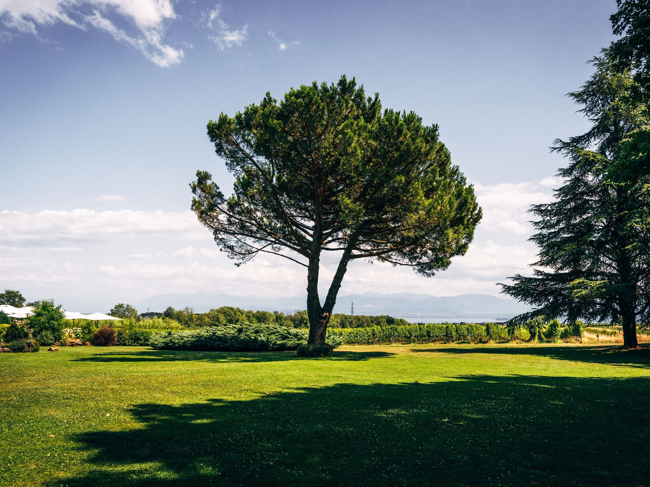 Domaine La Capitaine - pelouse - Kapeeh