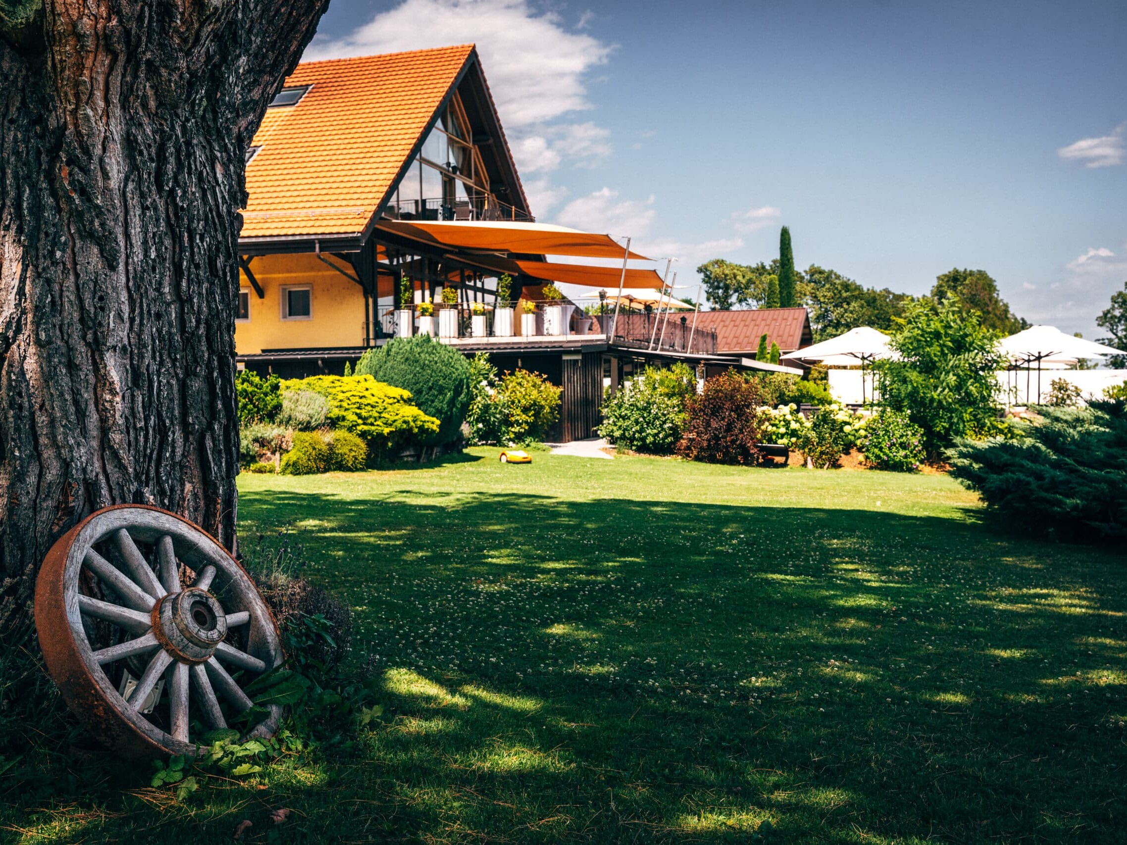 Domaine La Capitaine - arbre maison - Kapeeh